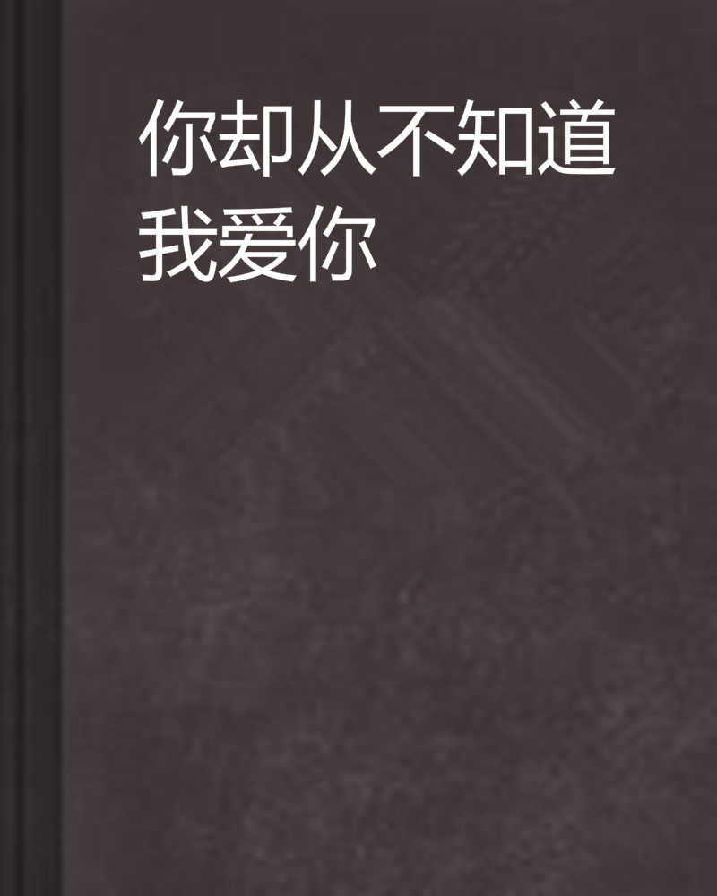 你却从不知道我爱你