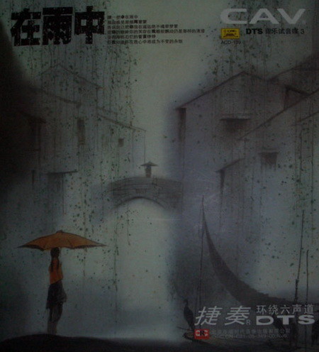 在雨中 在雨中