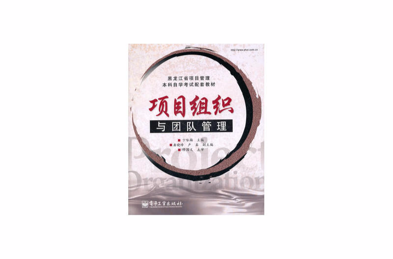 项目组织与团队管理