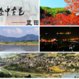蓝田县(蓝田（地名）)