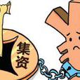 集资诈欺罪
