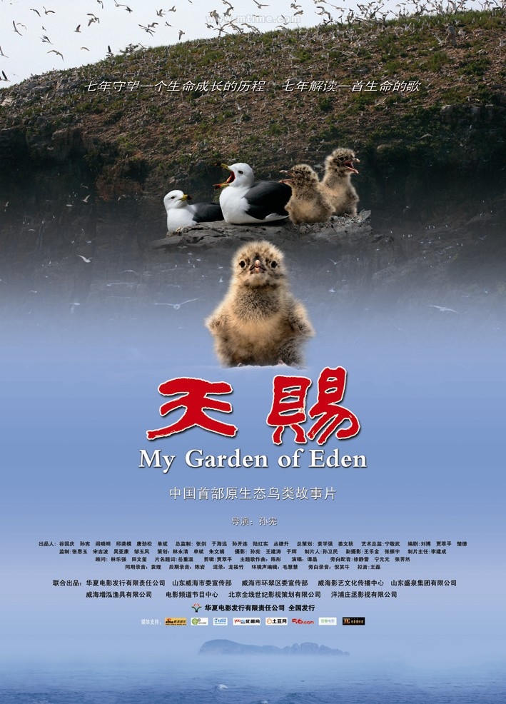 天赐(2011年孙宪执导中国纪录片)