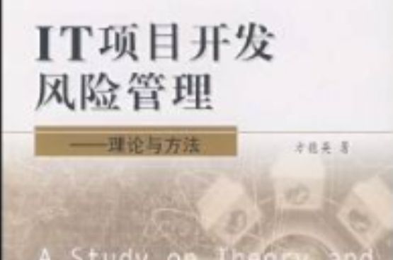 IT项目开发风险管理：理论与方法