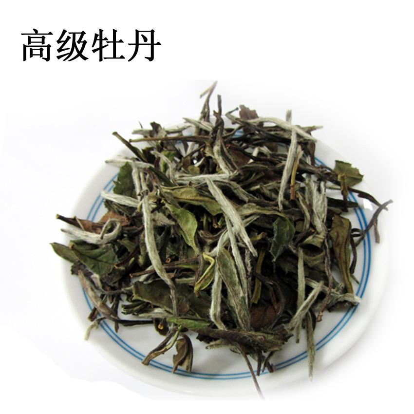 福建白茶 福建白茶