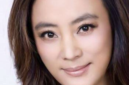 不能忘记你(李玲玉演唱歌曲)