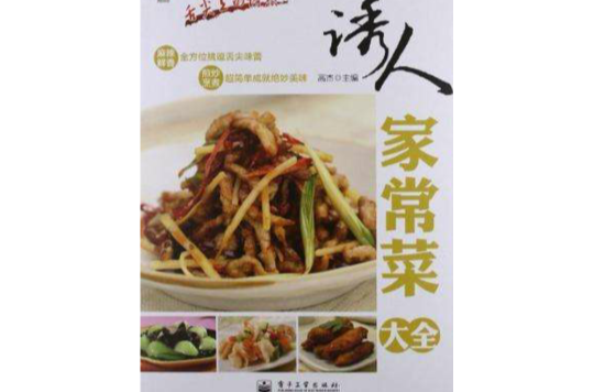 诱人家常菜大全