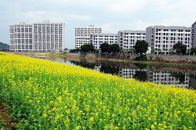 福建工程学院环境与设备工程系风光 福建工程学院环境与设备工程系风光