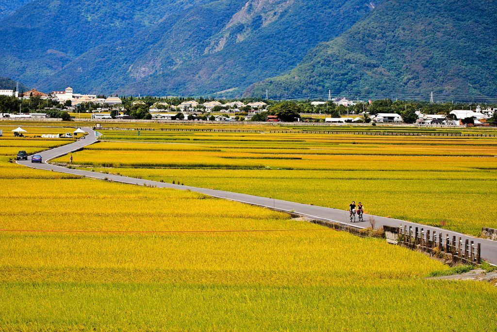 农村土地集体所有制