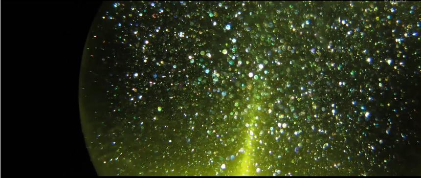 单光源下的黄金之雨 单光源下的黄金之雨