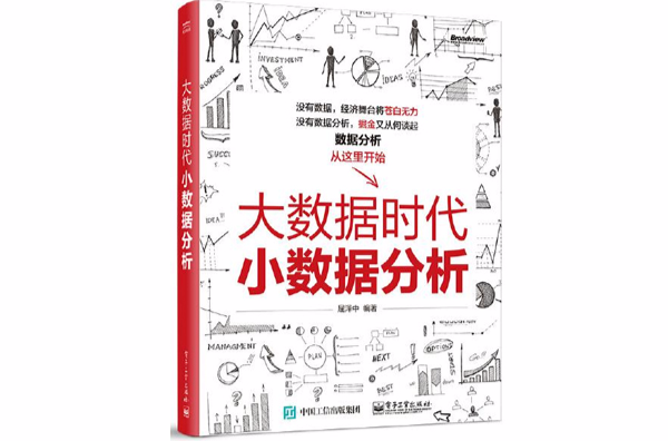 大数据时代小数据分析