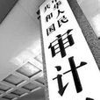 国家审计(一种法定审计)