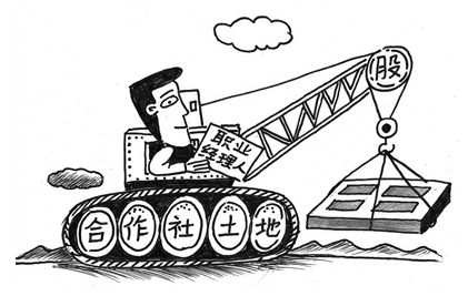 土地股份合作社 土地股份合作社