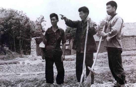 家庭联产承包责任制(家庭联产承包)