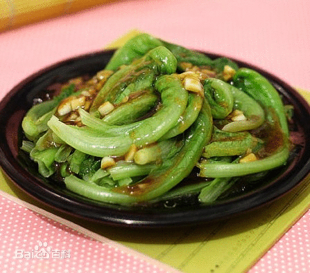 生菜(菊目菊科植物) 生菜(菊目菊科植物)