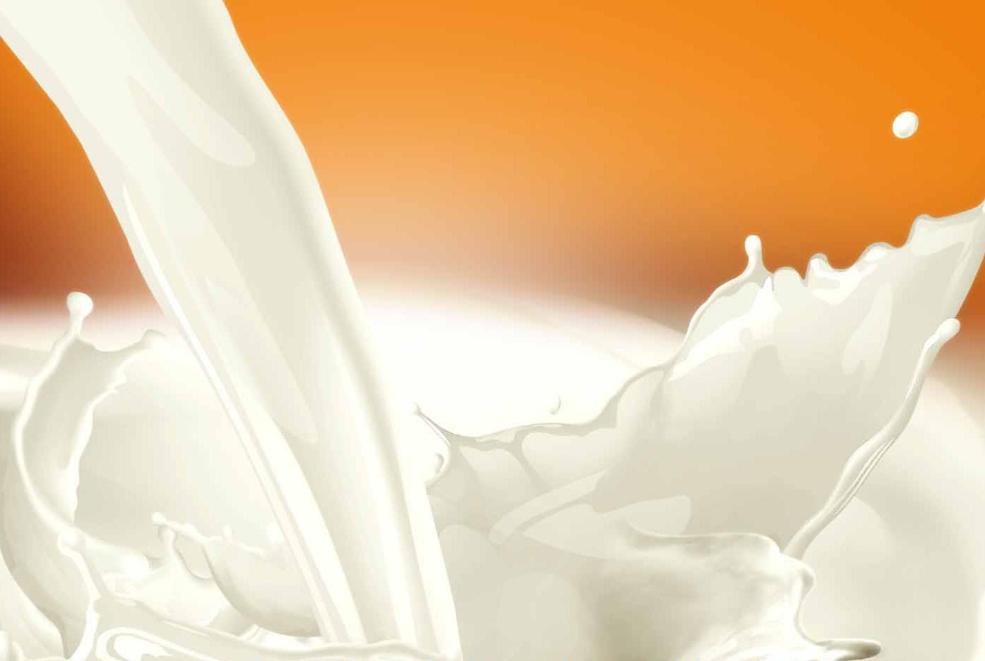 乳清蛋白分离物