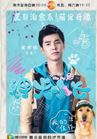 神犬小七(2015年王小列执导的电视剧)