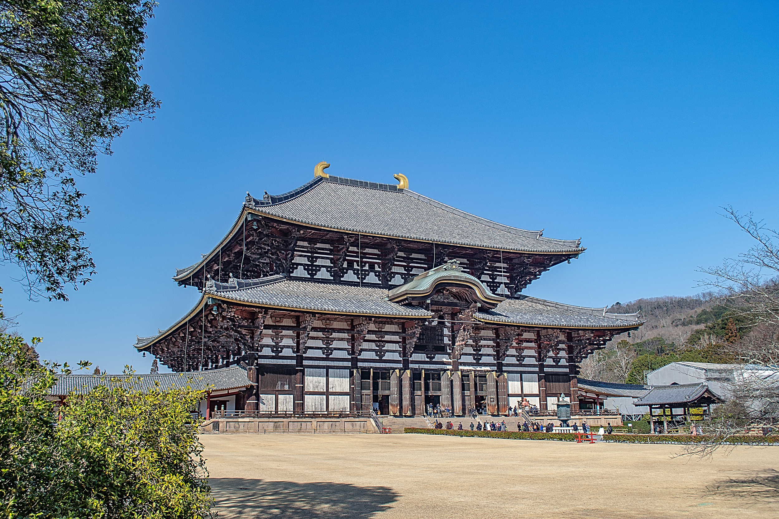 东大寺 东大寺