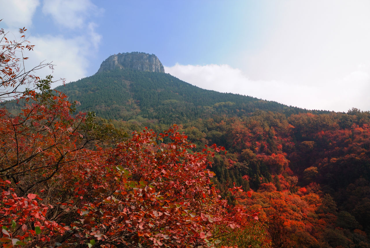 北庄镇(山东枣庄市山亭区下辖镇)