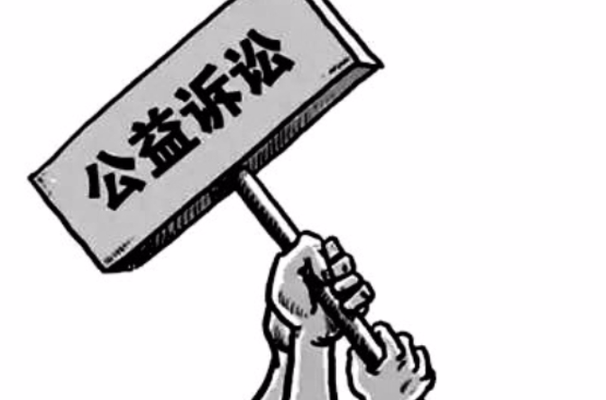 环境公益诉讼