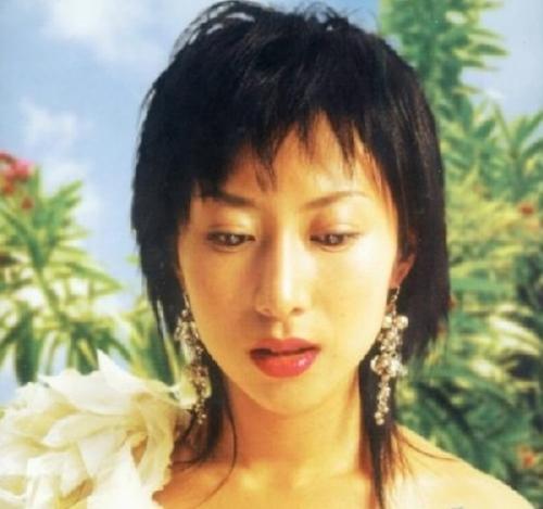 花水木 花水木