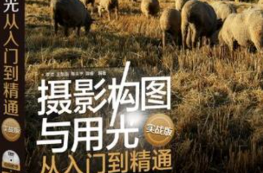 摄影构图与用光从入门到精通