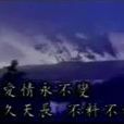 夜雾(邓丽君单曲)