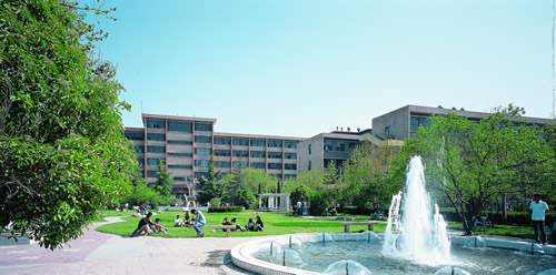 陕西科技大学鹹阳校区 陕西科技大学鹹阳校区