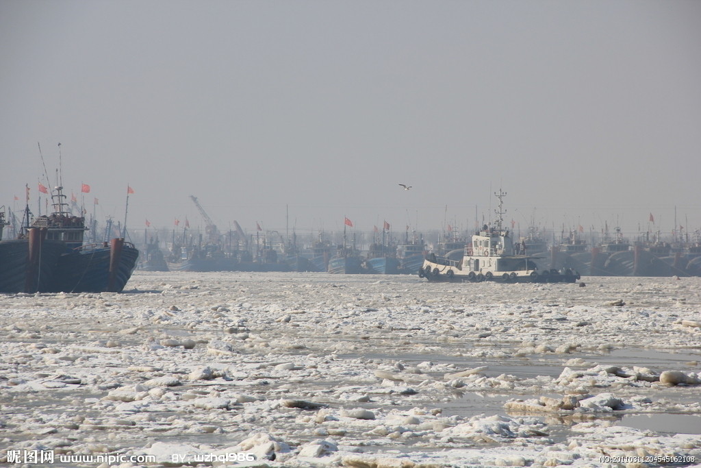 海冰 海冰