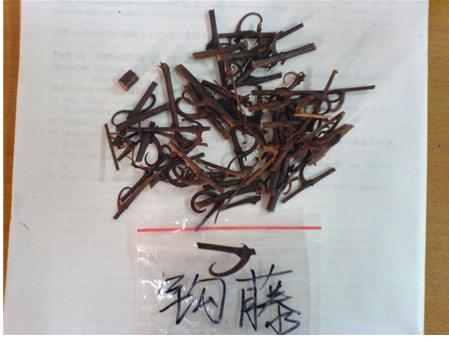 茜草科 茜草科