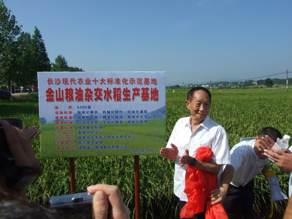 春华镇 春华镇