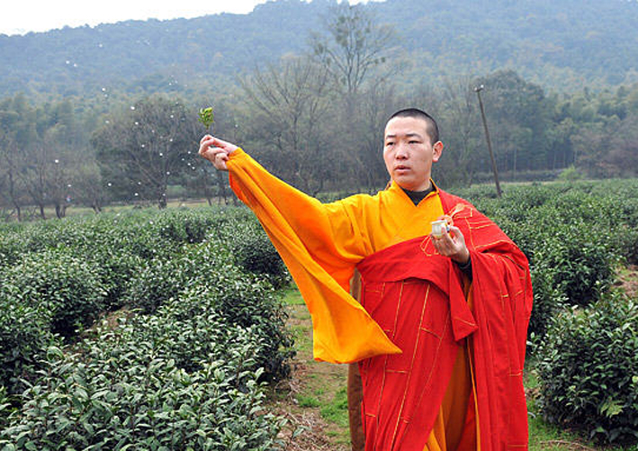 禅茶(图4) 禅茶(图4)