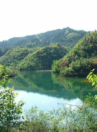 吴岱凝