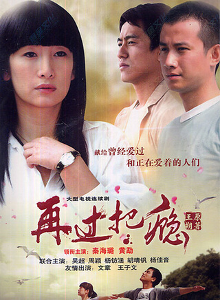 李静(中国电视节目主持人)