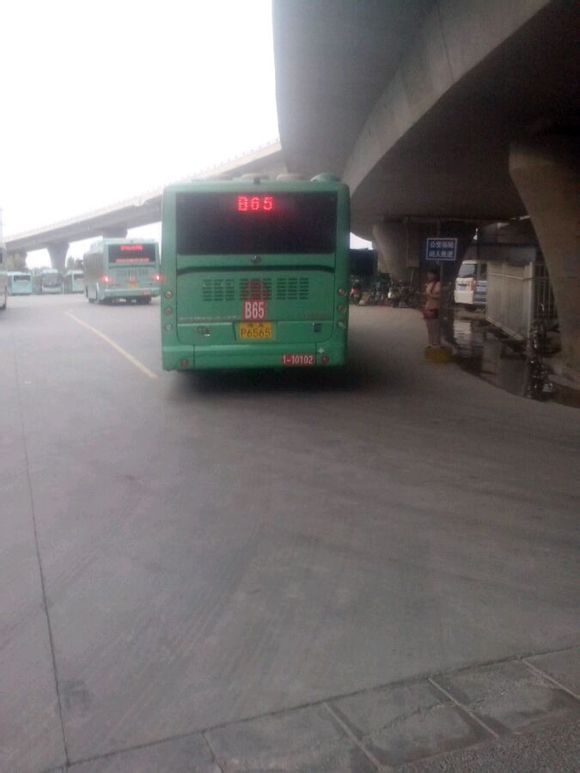 B65 B65