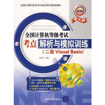 全国计算机等级考试考点解析与模拟训练（二级Visual Basic）