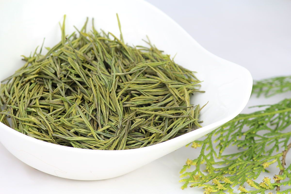 安吉白茶 安吉白茶