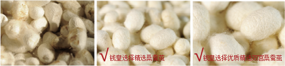 钱皇 钱皇