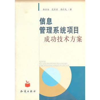信息管理系统项目成功技术方案