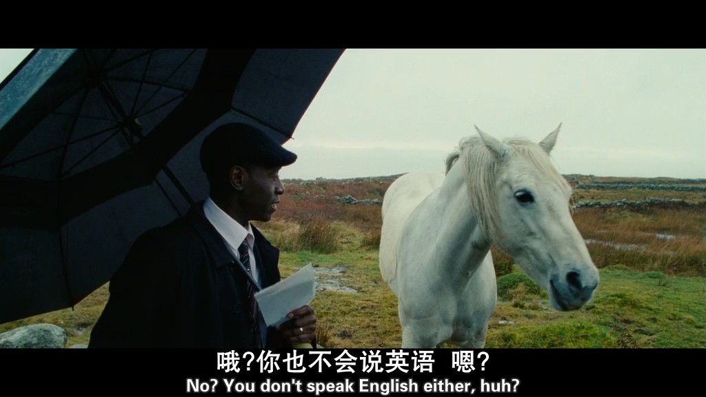 剧照 剧照