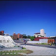 私立醒吾技术学院