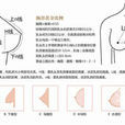 胸指数
