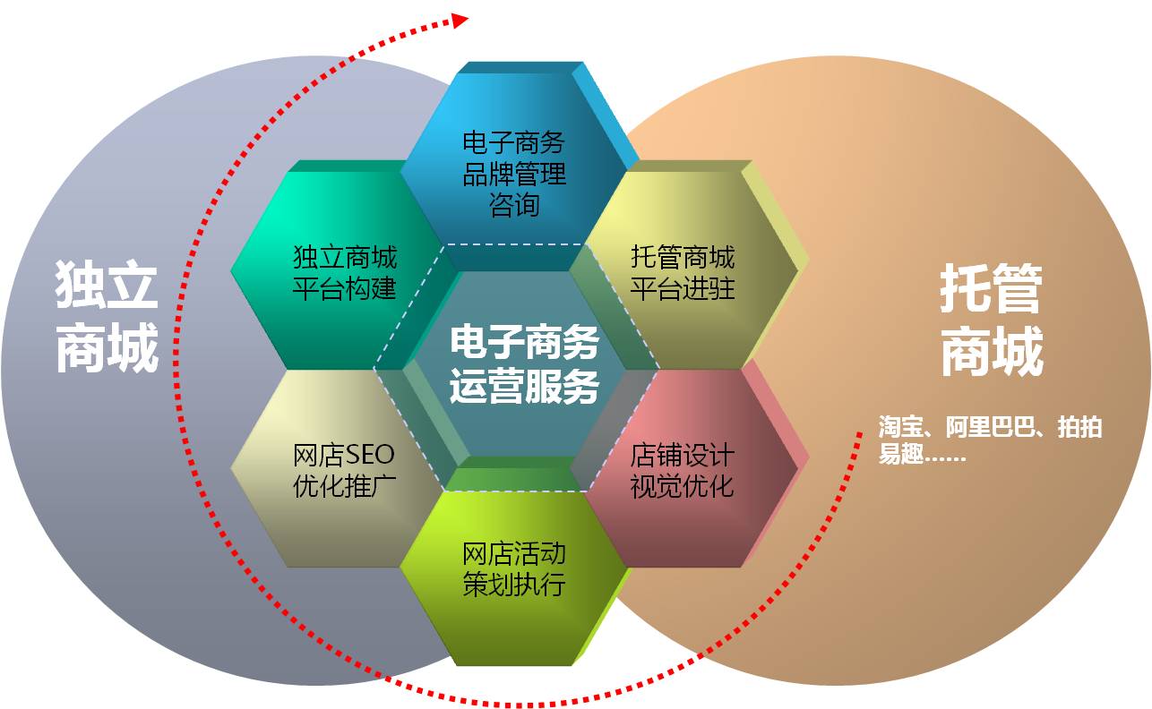 电子商务运营(电子商务平台的建设及运营)