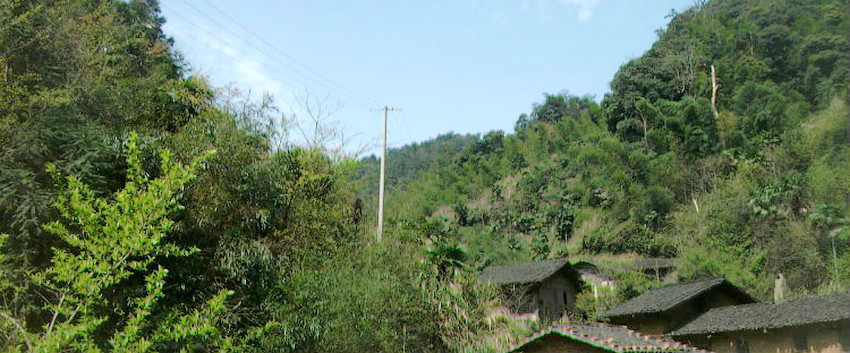 发源地福建省宁化县治平乡赖家山 发源地福建省宁化县治平乡赖家山