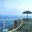 爱在雨中