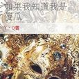 如果我知道我是傻瓜