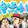 神犬小七装扮