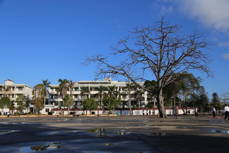 教学区 教学区