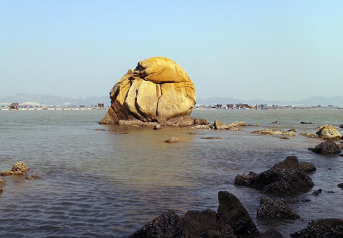 汛洲岛海岸水母石 汛洲岛海岸水母石