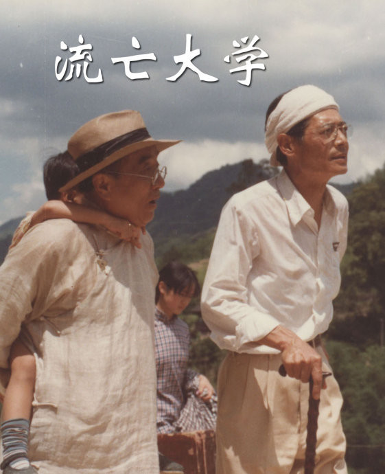 奇梦石 奇梦石