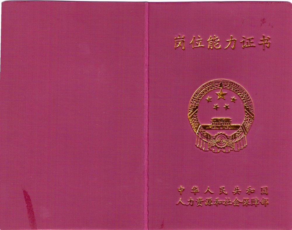财务审计师 财务审计师